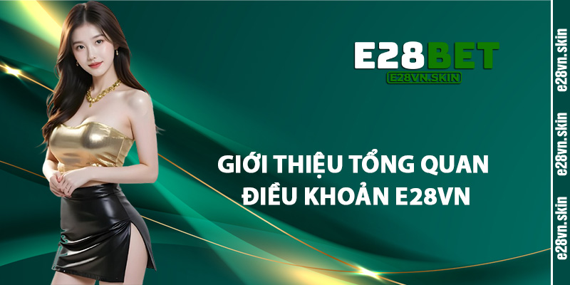 Giới Thiệu Tổng Quan Điều Khoản E28vn
