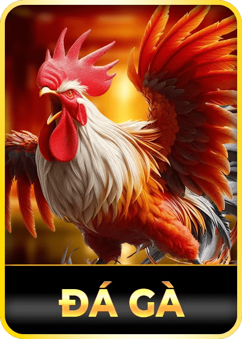 e28vn game 3
